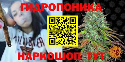 прущие грибы Комсомольск-на-Амуре
